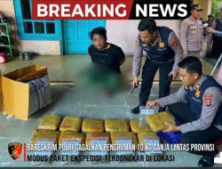 Pengiriman Lintas Provinsi Lewat Ekspedisi, 10 Kg Ganja Berhasil Digagalkan Bareskrim Polri