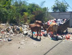 Sampah Menumpuk di Jalan Masuk Perumahan Haji Banca 2 Maros, Warga Minta DLH Segera Bertindak